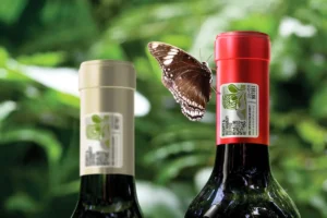 Ben Vino - Sustainability